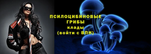 твердый Бронницы